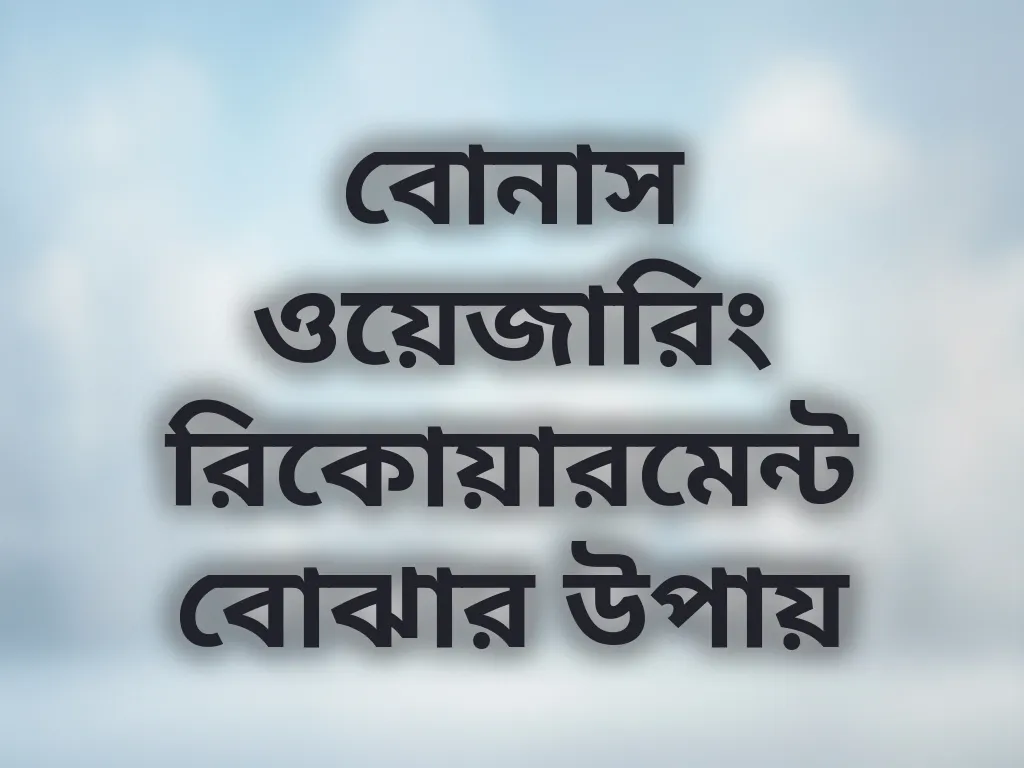বোনাস ওয়েজারিং গাইড